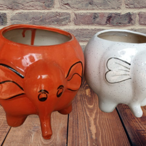 Elegans in Elephant Ceramic Pot